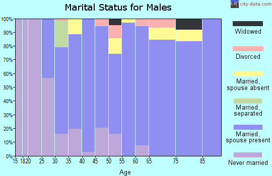 Zip code 78231 marital status for males