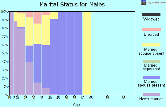 Zip code 78234 marital status for males