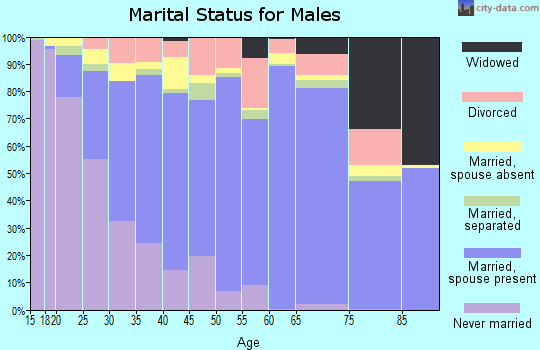 Zip code 78245 marital status for males
