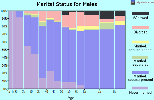 Zip code 78247 marital status for males