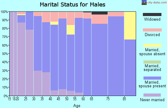 Zip code 78248 marital status for males