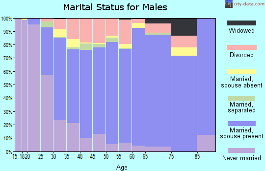 Zip code 78250 marital status for males