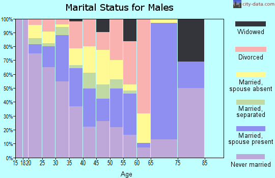 Zip code 78252 marital status for males