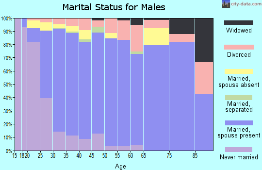 Zip code 78254 marital status for males