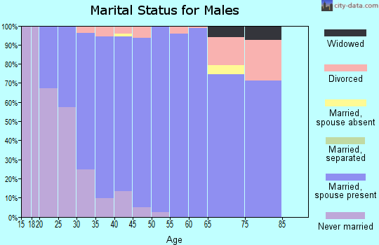 Zip code 78255 marital status for males