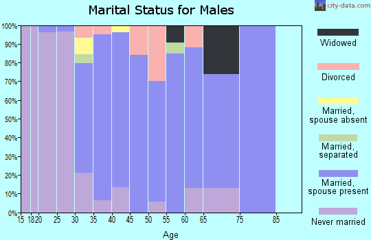 Zip code 78256 marital status for males