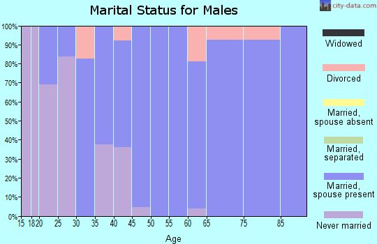 Zip code 78257 marital status for males