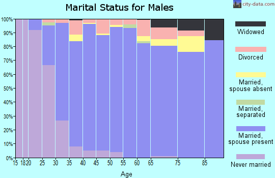 Zip code 78258 marital status for males