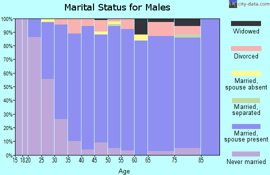 Zip code 78260 marital status for males