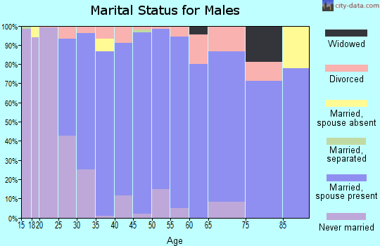Zip code 78261 marital status for males
