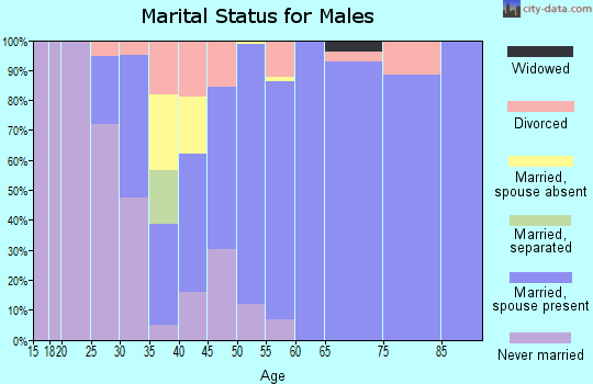 Zip code 78263 marital status for males