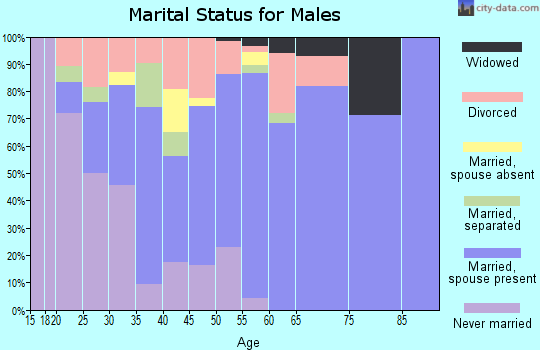 Zip code 78264 marital status for males