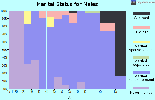 Zip code 78266 marital status for males