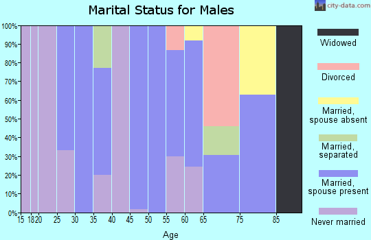 Zip code 78330 marital status for males