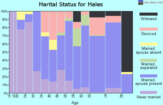 Zip code 78336 marital status for males