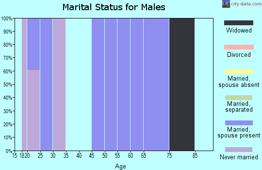 Zip code 78339 marital status for males