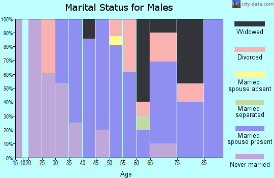 Zip code 78340 marital status for males