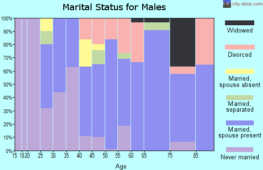 Zip code 78343 marital status for males