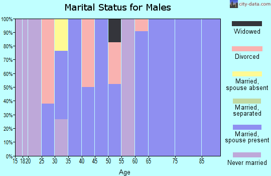 Zip code 78351 marital status for males