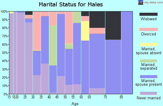 Zip code 78355 marital status for males