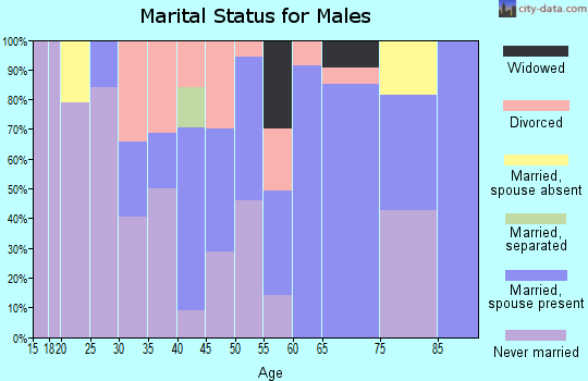 Zip code 78359 marital status for males
