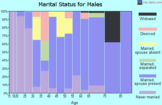 Zip code 78361 marital status for males