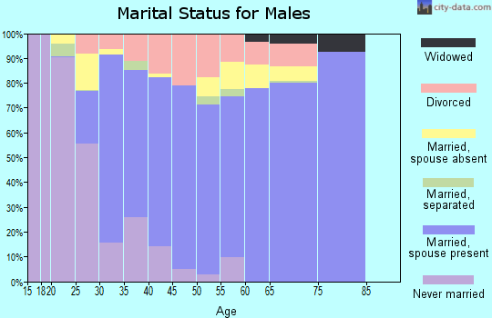 Zip code 78362 marital status for males