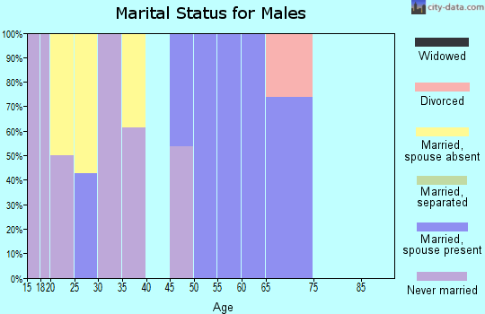 Zip code 78369 marital status for males