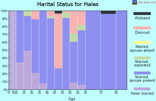 Zip code 78372 marital status for males