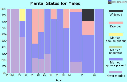 Zip code 78375 marital status for males
