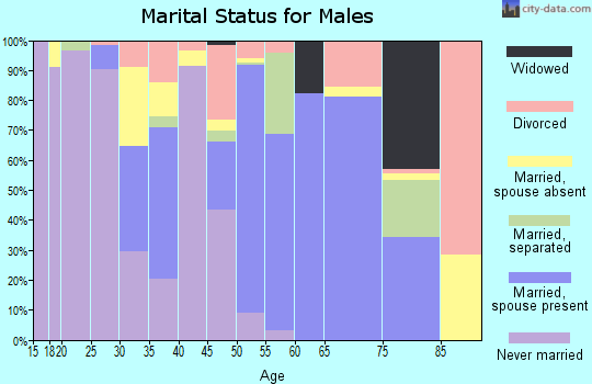 Zip code 78384 marital status for males