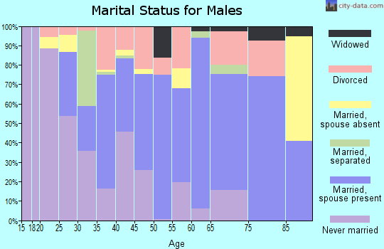 Zip code 78387 marital status for males