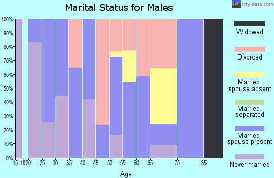 Zip code 78389 marital status for males