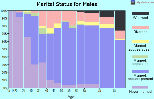 Zip code 78413 marital status for males