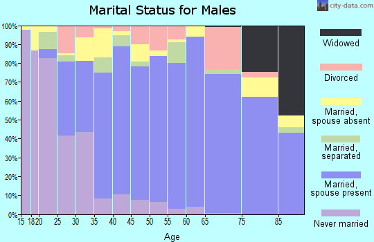 Zip code 78503 marital status for males