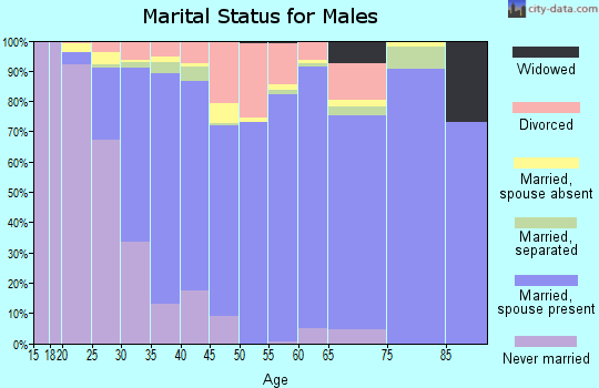 Zip code 78504 marital status for males