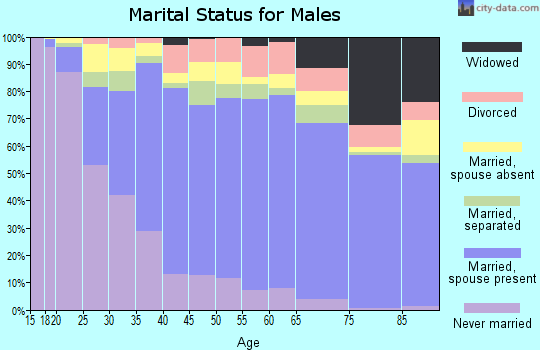 Zip code 78520 marital status for males