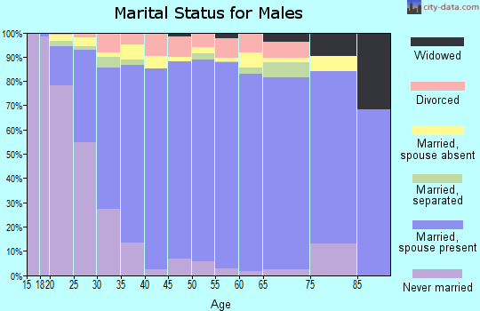 Zip code 78526 marital status for males