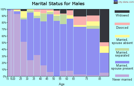 Zip code 78537 marital status for males
