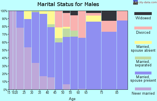 Zip code 78538 marital status for males