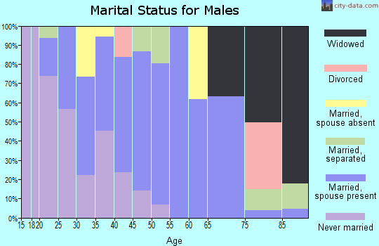 Zip code 78543 marital status for males