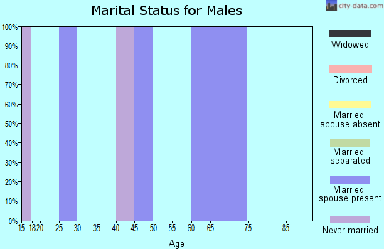 Zip code 78545 marital status for males