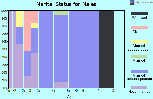 Zip code 78547 marital status for males