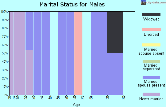 Zip code 78548 marital status for males