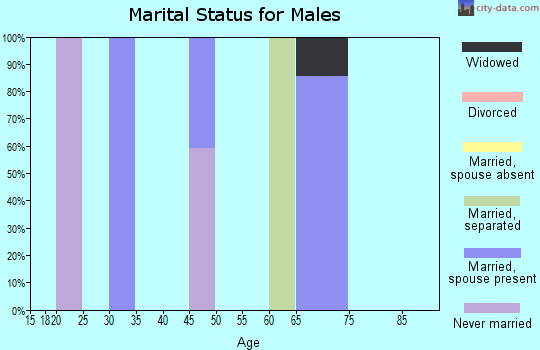Zip code 78549 marital status for males
