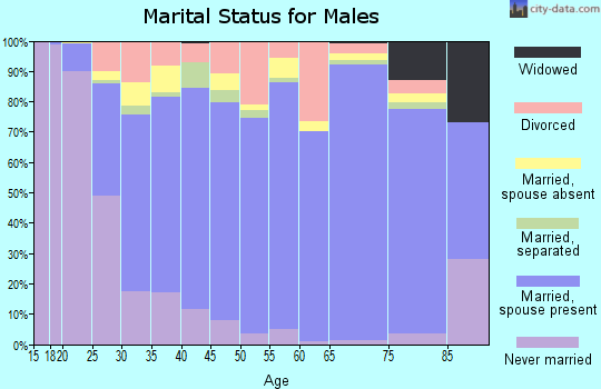 Zip code 78552 marital status for males