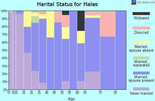 Zip code 78557 marital status for males