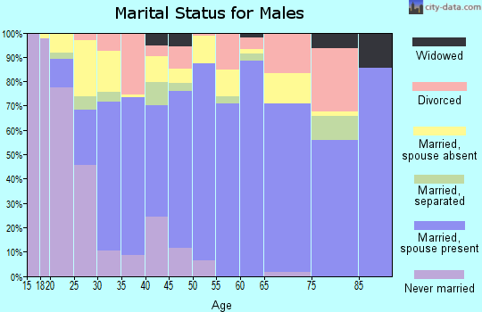 Zip code 78566 marital status for males