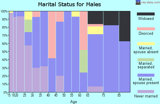 Zip code 78569 marital status for males
