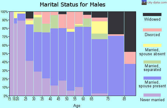 Zip code 78570 marital status for males
